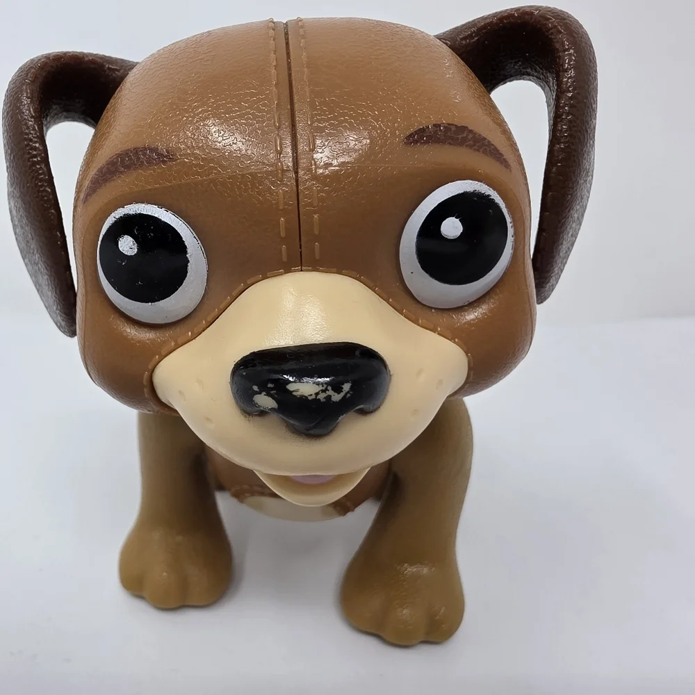 N/A dog has